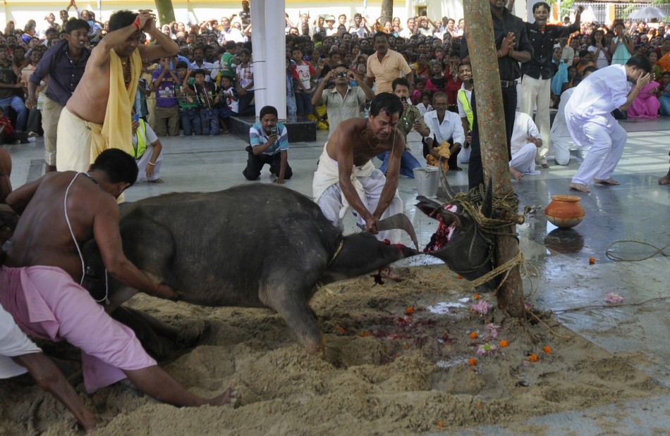 animal-sacrifice-by-hindus.jpg